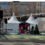 まどか 今年最後のライブ 池袋で熟女の風俗 マダムいやーん