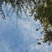 ヒメ日記 2025/10/30 11:37 投稿 あかね 人妻小旅行