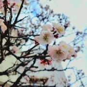 ヒメ日記 2026/03/05 12:57 投稿 あかね 人妻小旅行