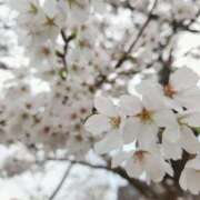 ヒメ日記 2026/04/02 10:35 投稿 あかね 人妻小旅行