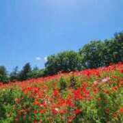 あかね 5/11☀️おはようございます☀️ 人妻小旅行