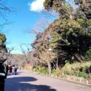 ヒメ日記 2025/03/21 14:51 投稿 湯本 熟女の風俗最終章　鶯谷店