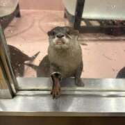 ヒメ日記 2024/12/21 21:43 投稿 こころ One More奥様　蒲田店