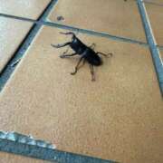 ヒメ日記 2025/07/12 21:53 投稿 りな ぽっちゃり素人専門店 愛されぽっちゃり倶楽部 古川店