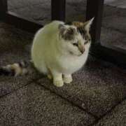 ヒメ日記 2025/12/29 00:47 投稿 りな ぽっちゃり素人専門店 愛されぽっちゃり倶楽部 古川店