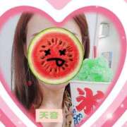 天音 ご無沙汰しております🙇‍♂️ 東京人妻フォーシーズンズ