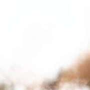 ヒメ日記 2025/02/20 22:35 投稿 ののか♡ Q-STORY