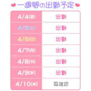 ヒメ日記 2025/04/04 16:42 投稿 まほ ハピネス福岡