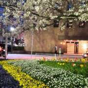 ヒメ日記 2025/04/04 19:12 投稿 まほ ハピネス福岡