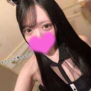 ヒメ日記 2025/03/21 09:26 投稿 イト♡超高ランクバニー ドMなバニーちゃん 名古屋・池下店