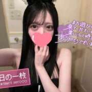 ヒメ日記 2025/03/22 00:46 投稿 イト♡超高ランクバニー ドMなバニーちゃん 名古屋・池下店