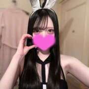 ヒメ日記 2025/05/15 09:27 投稿 イト♡超高ランクバニー ドMなバニーちゃん 名古屋・池下店