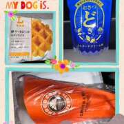 ヒメ日記 2025/08/29 01:39 投稿 No.8 ゆき FORTUNE