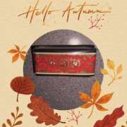 ヒメ日記 2025/11/11 00:50 投稿 No.8 ゆき FORTUNE