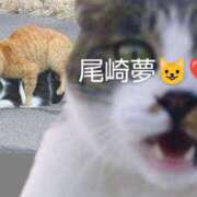 ヒメ日記 2025/05/29 21:11 投稿 尾崎ゆめ 横浜プロダクション