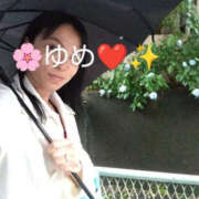 ヒメ日記 2025/06/03 16:51 投稿 尾崎ゆめ 横浜プロダクション