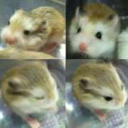 ヒメ日記 2026/01/10 14:47 投稿 尾崎ゆめ 横浜プロダクション