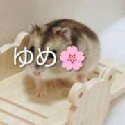 ヒメ日記 2026/01/17 22:57 投稿 尾崎ゆめ 横浜プロダクション