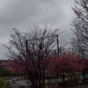 尾崎ゆめ どうも♥️ 横浜プロダクション