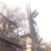 ヒメ日記 2026/03/14 14:56 投稿 尾崎ゆめ 横浜プロダクション