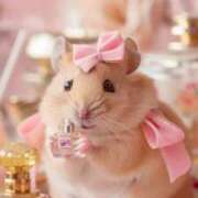 ヒメ日記 2026/03/23 15:15 投稿 尾崎ゆめ 横浜プロダクション