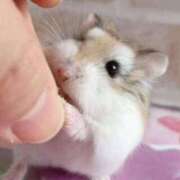 ヒメ日記 2026/03/26 16:07 投稿 尾崎ゆめ 横浜プロダクション