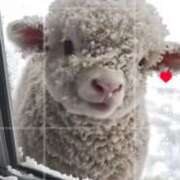 ヒメ日記 2025/09/10 22:13 投稿 ナナ シークレットクラブ