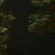 ヒメ日記 2025/09/17 20:34 投稿 ナナ シークレットクラブ