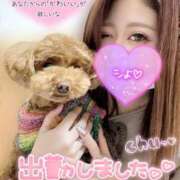 ヒメ日記 2025/03/19 22:56 投稿 あやの お客様満足度NO.1デリヘル！ 秘密倶楽部 凛 千葉