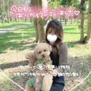 ヒメ日記 2025/04/10 03:07 投稿 あやの お客様満足度NO.1デリヘル！ 秘密倶楽部 凛 千葉