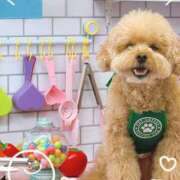 ヒメ日記 2025/06/07 23:45 投稿 あやの お客様満足度NO.1デリヘル！ 秘密倶楽部 凛 千葉