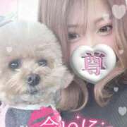 ヒメ日記 2025/11/05 23:19 投稿 あやの お客様満足度NO.1デリヘル！ 秘密倶楽部 凛 千葉