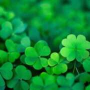 ヒメ日記 2025/09/25 08:01 投稿 このみ ドMバスターズ 京都店