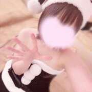 ヒメ日記 2024/12/19 06:46 投稿 みお CUTE