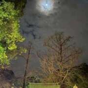 ヒメ日記 2026/01/04 00:50 投稿 東条こゆき 渋谷エオス