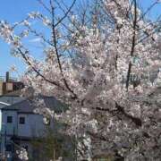 東条こゆき 11日出勤します！ 渋谷エオス