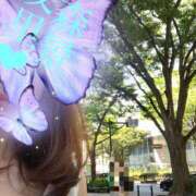 ヒメ日記 2025/06/22 17:37 投稿 森景友里 プレジデントクラブ