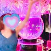 ヒメ日記 2025/07/24 01:14 投稿 森景友里 プレジデントクラブ