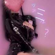 ヒメ日記 2025/11/05 14:38 投稿 森景友里 プレジデントクラブ