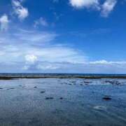 ヒメ日記 2025/02/26 18:20 投稿 キャンディ AMOUR（アムール）