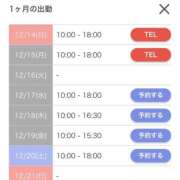 キャンディ 出勤しました🐾 AMOUR（アムール）