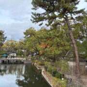 キャンディ おはようございます⛩️ AMOUR（アムール）