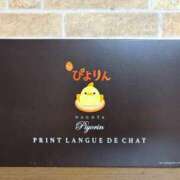 ヒメ日記 2026/03/14 15:16 投稿 キャンディ AMOUR（アムール）