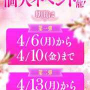 ヒメ日記 2026/04/02 15:00 投稿 キャンディ AMOUR（アムール）