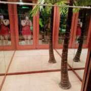 ヒメ日記 2025/05/31 00:30 投稿 ようこ☆全身性感帯の痴女帝 富山高岡ちゃんこ