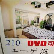 ヒメ日記 2025/07/29 07:45 投稿 ようこ☆全身性感帯の痴女帝 富山高岡ちゃんこ