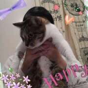 ヒメ日記 2024/12/16 02:41 投稿 桜井　みずき 熟女パラダイス甲府店（カサブランカグループ）