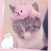 ヒメ日記 2024/12/18 20:09 投稿 桜井　みずき 熟女パラダイス甲府店（カサブランカグループ）