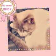 ヒメ日記 2025/01/15 08:11 投稿 桜井　みずき 熟女パラダイス甲府店（カサブランカグループ）