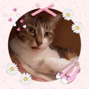 ヒメ日記 2025/01/15 09:09 投稿 桜井　みずき 熟女パラダイス甲府店（カサブランカグループ）